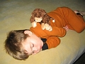 FL-Hotel-MonkeysSleeping-1