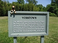 Yorktown-Cheeky-5