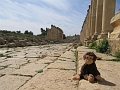 Amman-Jerash_Cheeky-4