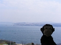 Istanbul-TopkapiSarayi_Palace_Cheeky
