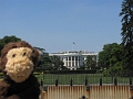 DCA_WhiteHouse_Cheeky