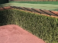 IMG_7652_SMART-II_FAST-II