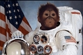 MonkeyAstronautPic