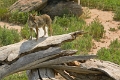SMART-VI_IMG_1365
