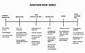 AviationPainIndex