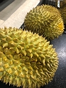 Durian-JustSayNo