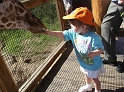 Jess_Giraffe_Mum