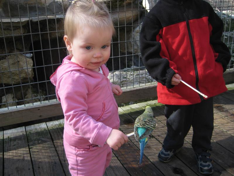 Jess_Zoo-LastVisit2008-2.JPG - Sweet!  I caught a birdie!...