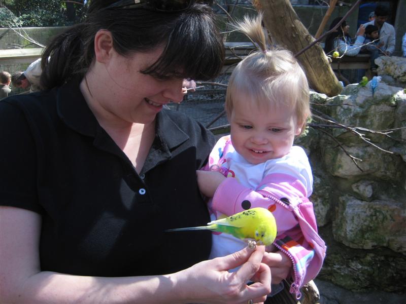 Jess_ZooFeb2009-15.JPG - Cool birdie Mummy, now make it go away!?...