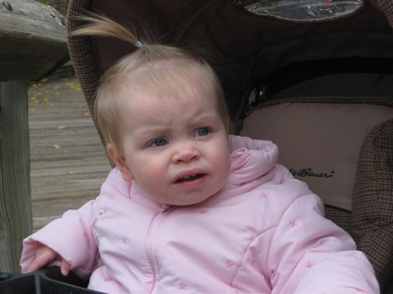 Matt&JacquiVisit_ZooTime-2.JPG - ...Um, someone want to tell me what this is?... Hello.  Little education here please!?...