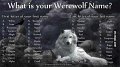 WhatsYourWolfName