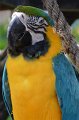 DALZoo_7-2016-DSC_4217