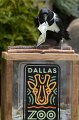 DALZoo_7-2016-DSC_4382