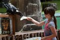 DALZoo_7-2016-DSC_4389