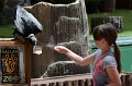 DALZoo_7-2016-DSC_4390