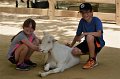 DALZoo_7-2016-DSC_4426