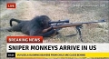 SniperMOnkeys