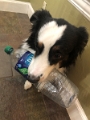 Zoey_Hydrated_02-2022 (2)